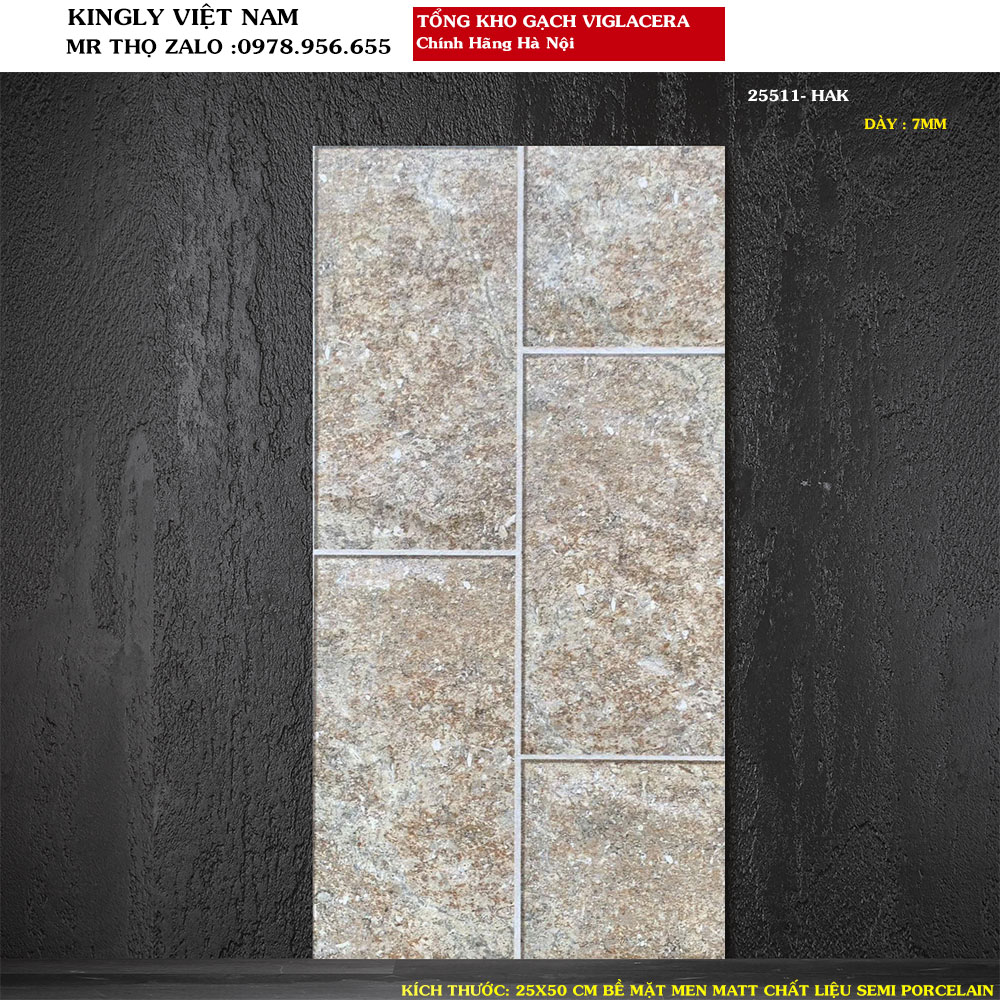 Gạch ốp tường ngoại thất ngoài trời Viglacera  25x50 cm 25551 Loại 1